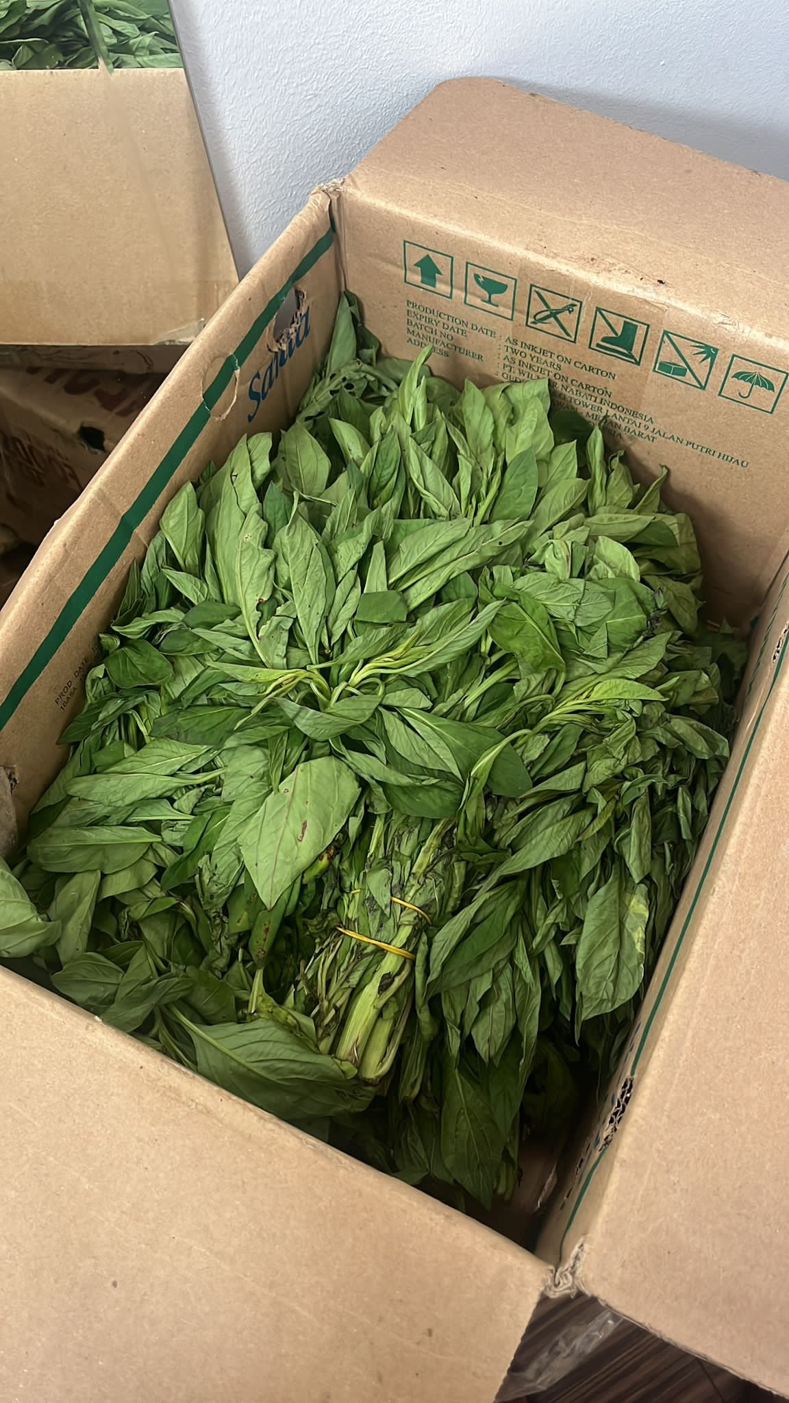 2024/12/1000809006.jpg Shoko - Image 1