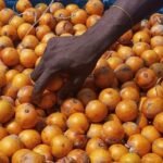 Agbalumo/udara/alasa 1piece