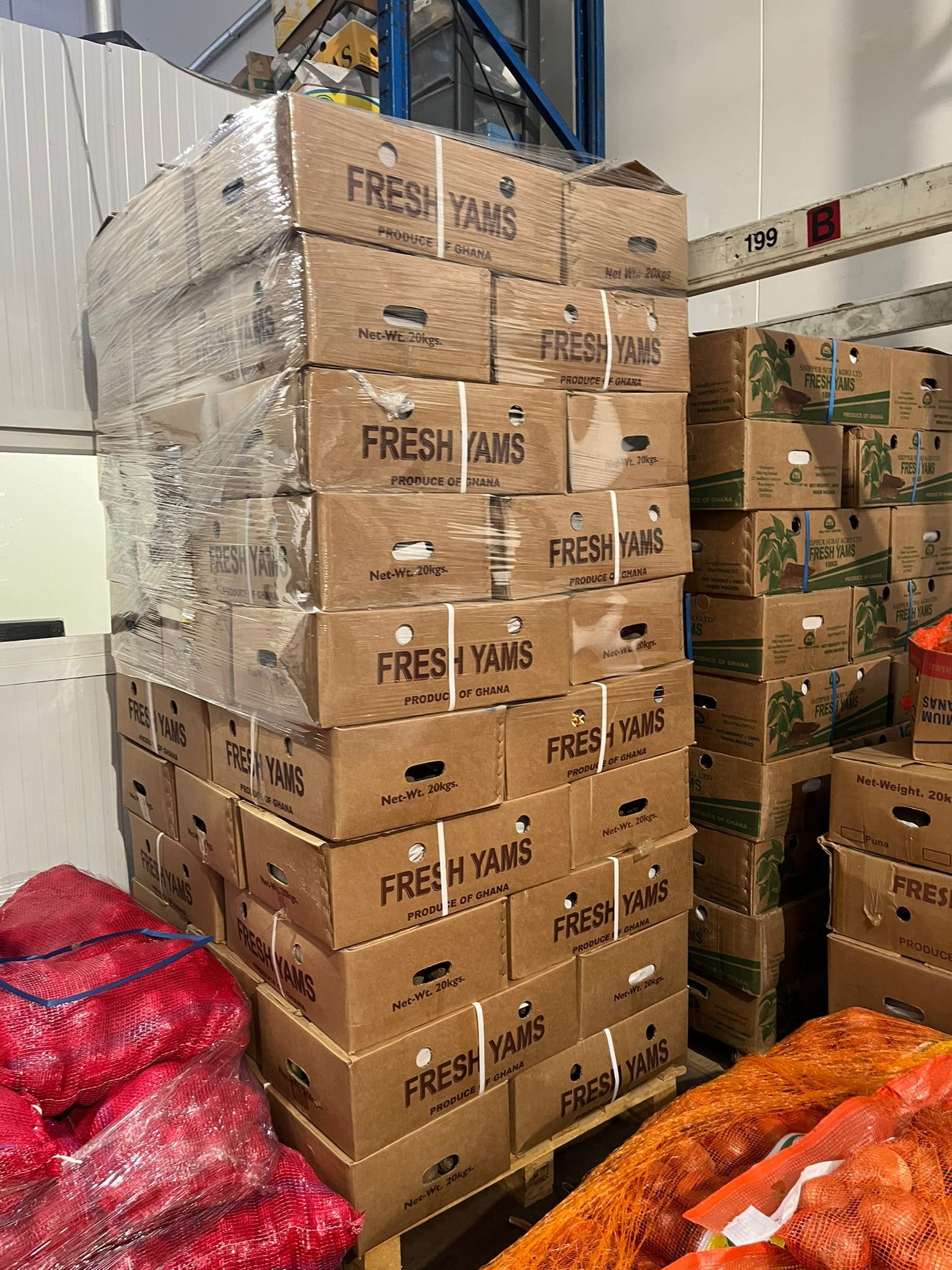 WhatsApp Image 2025-01-08 at 8.39.21 PM Yam ( puna yam) - Image 1