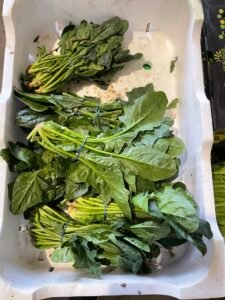 Spinach Box (20 bunches)
