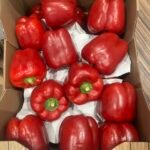 Red Bell Pepper 500g