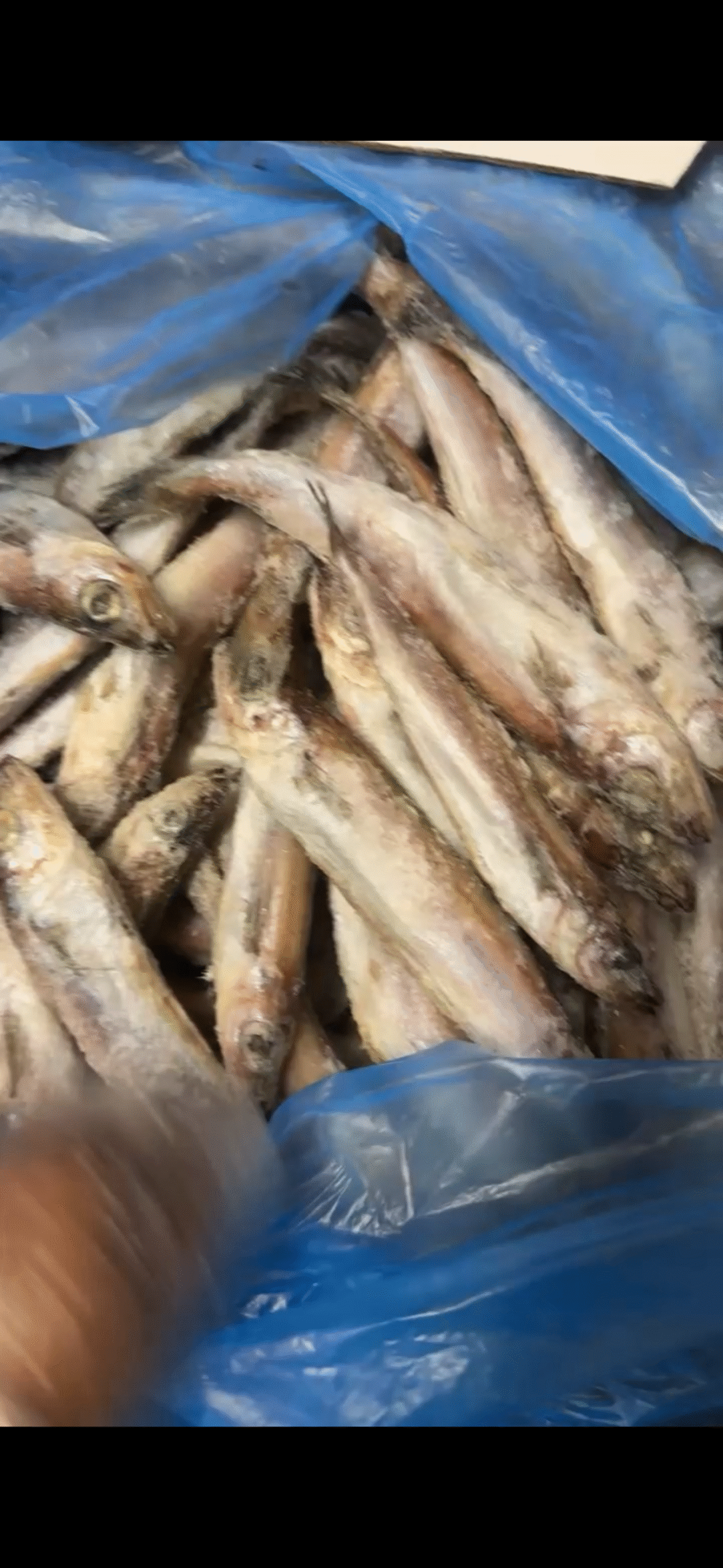 img_7270-2 Panla fish fresh - Image 1