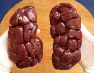 Cow kidney 1kg